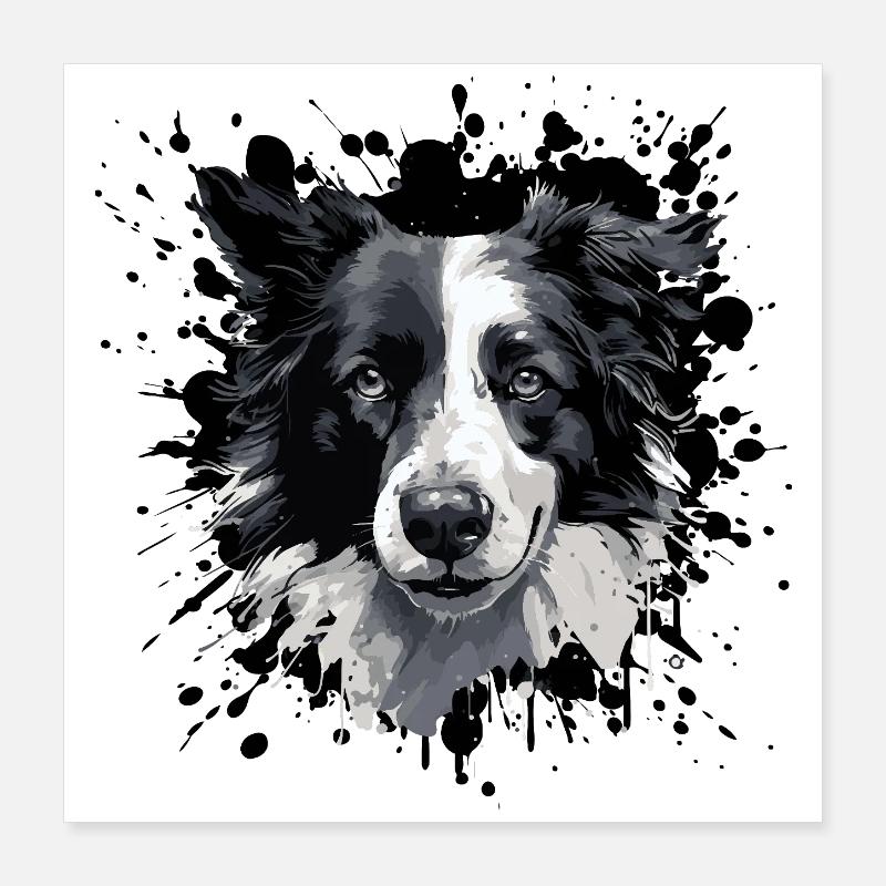 Graustufen Border Collie Porträt Poster 40x40 cm