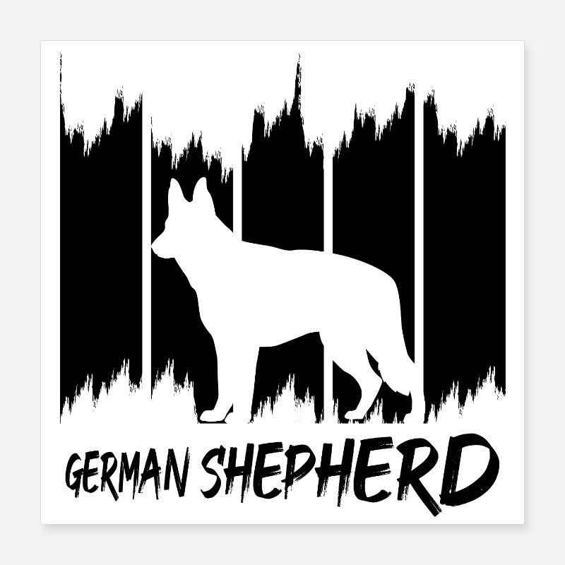 Deutscher Schäferhund Poster 40x40 cm