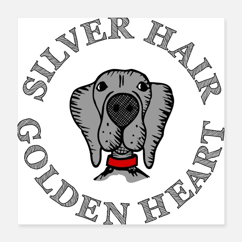 Weimaraner Poster 40 x 40 cm