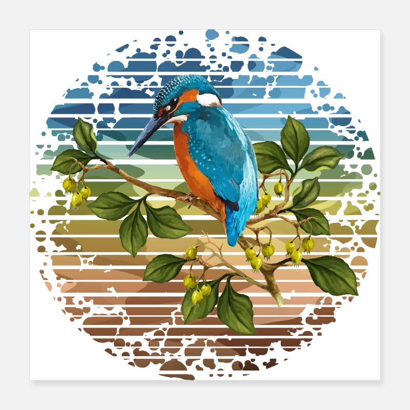 Eisvogelvogel Poster 40x40 cm