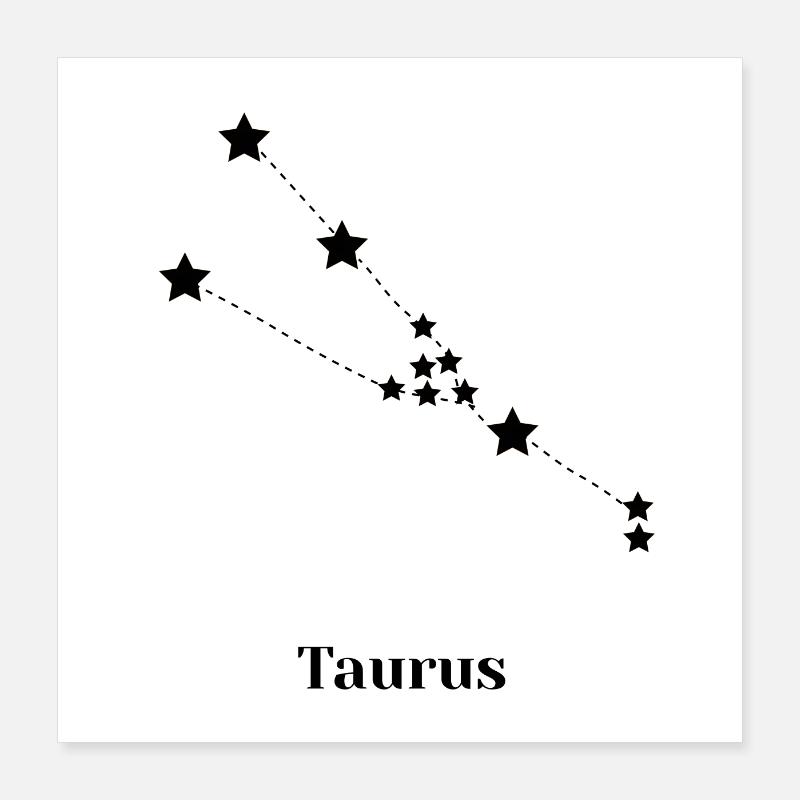 Taurus / Taurus Poster 16" x 16" (40x40 cm)
