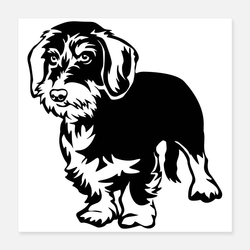 Teckel Poster 40 x 40 cm