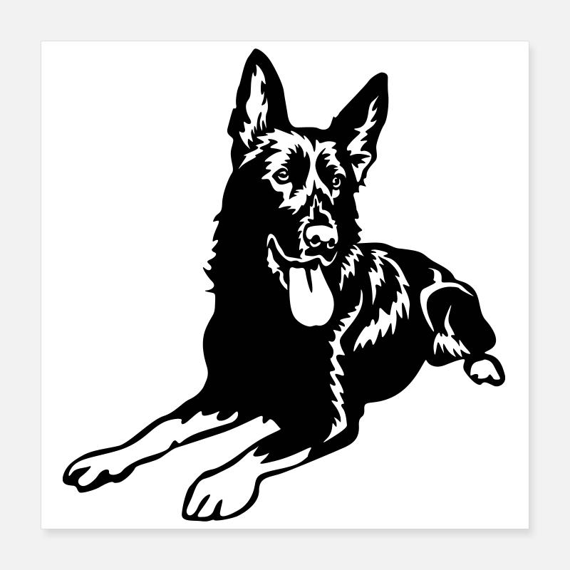 Deutscher Schäferhund Poster 40x40 cm
