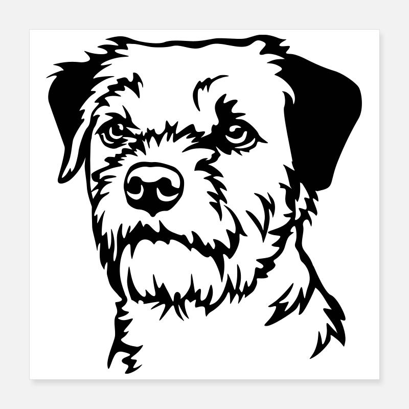 Border Terrier Kopf Poster 40x40 cm
