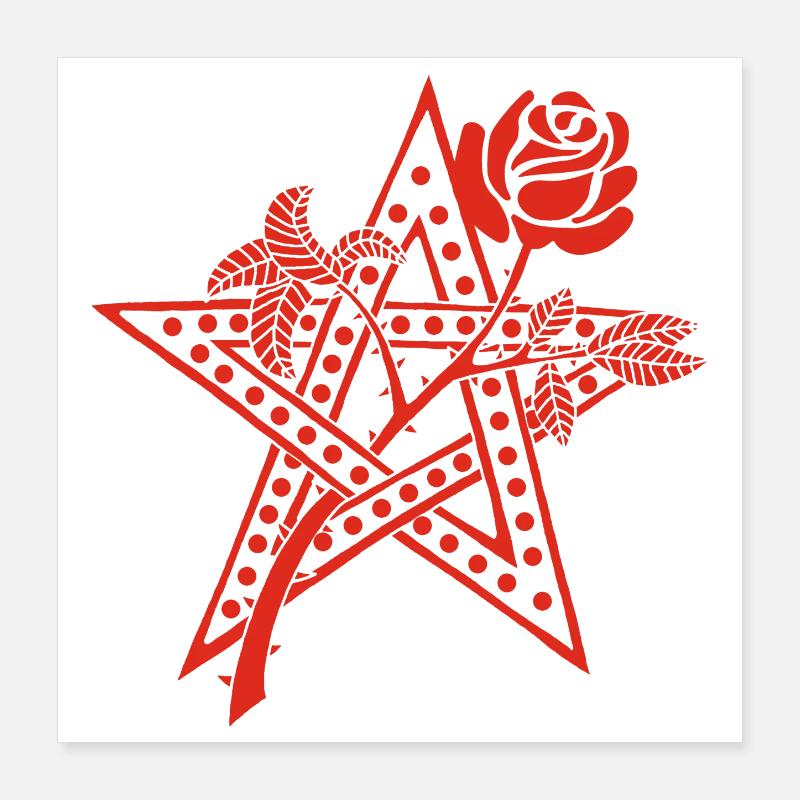 Die rote Rose und der Stern Poster 40x40 cm