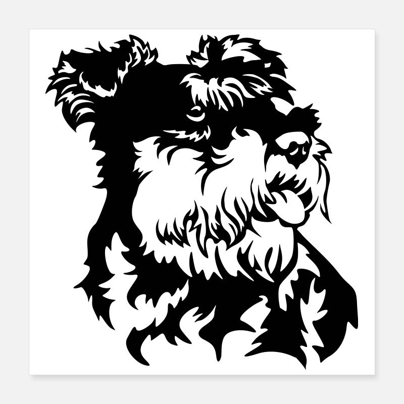 Zwergschnauzer Kopf Poster 40x40 cm