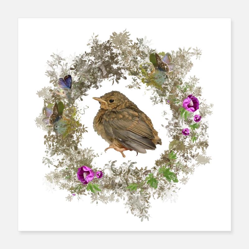 Robin aux fleurs délicates et aux bleus Poster 40 x 40 cm