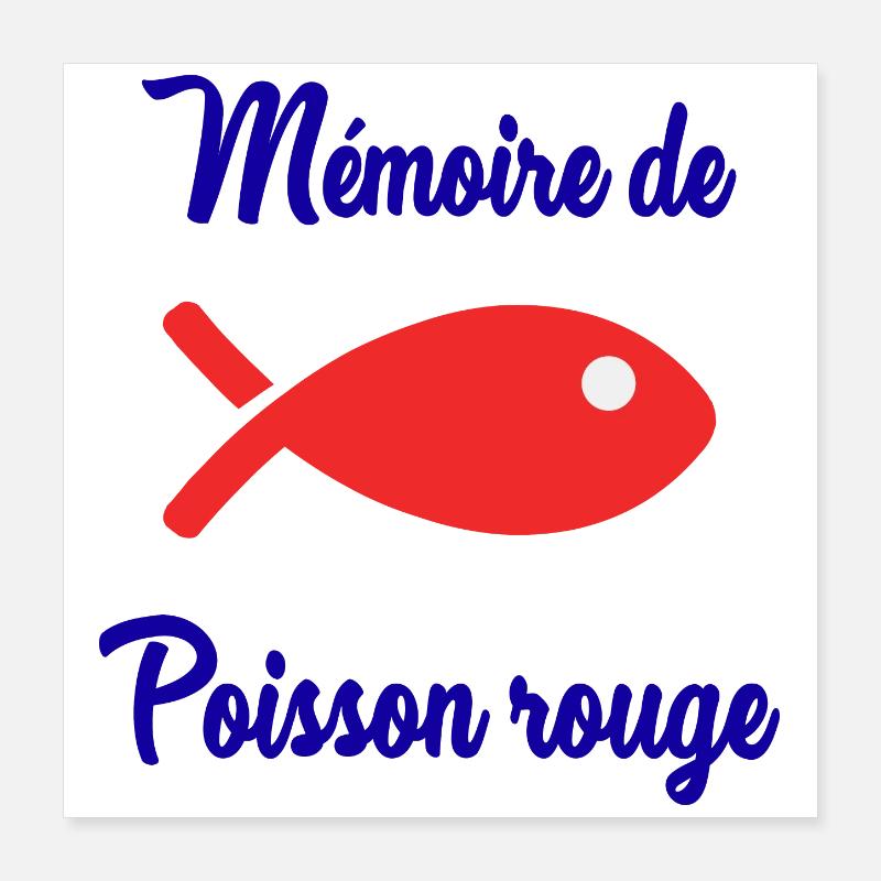 GOLDFISH MEMORY Poster 16" x 16" (40x40 cm)