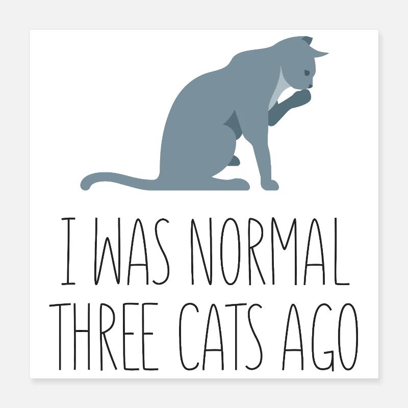 Vor drei Katzen war ich noch normal Poster 40x40 cm