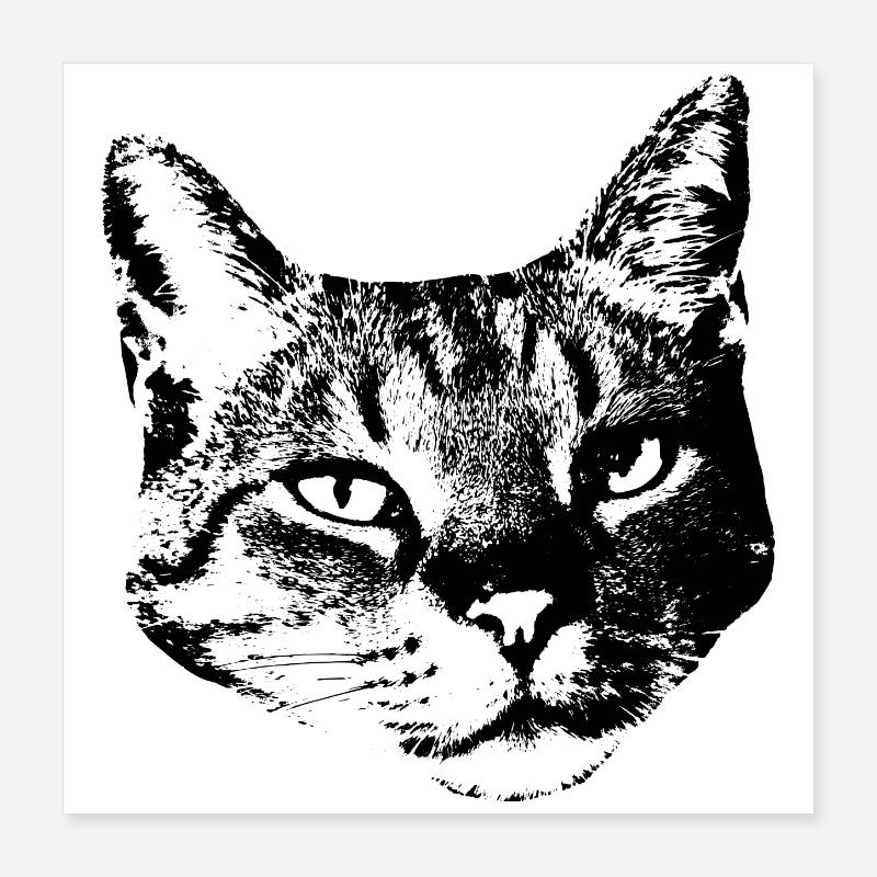 Chat Chat Chat Chat Chemise Cadeau Poster 40 x 40 cm