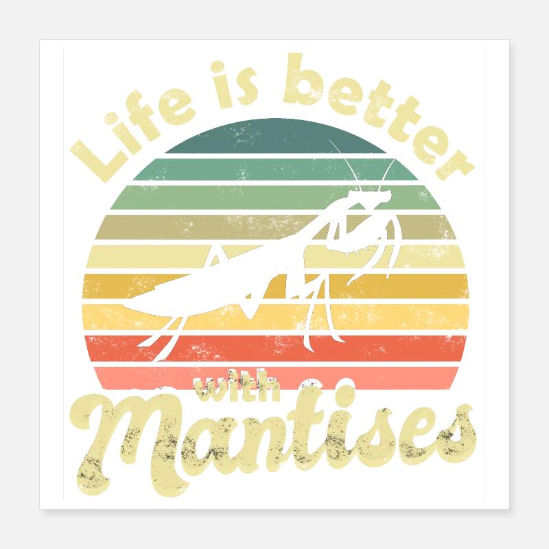 Praying mantis Mantis Poster 16" x 16" (40x40 cm)
