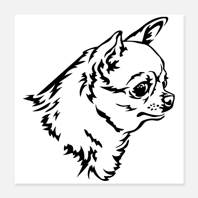 Tête de Chihuahua Poster 40 x 40 cm
