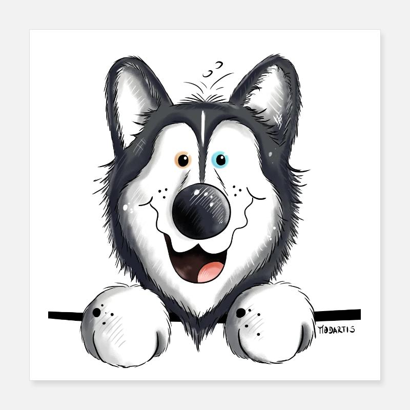Neugieriger Husky Poster 40x40 cm