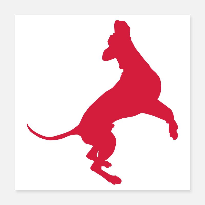 High Jump Dane Poster 16" x 16" (40x40 cm)