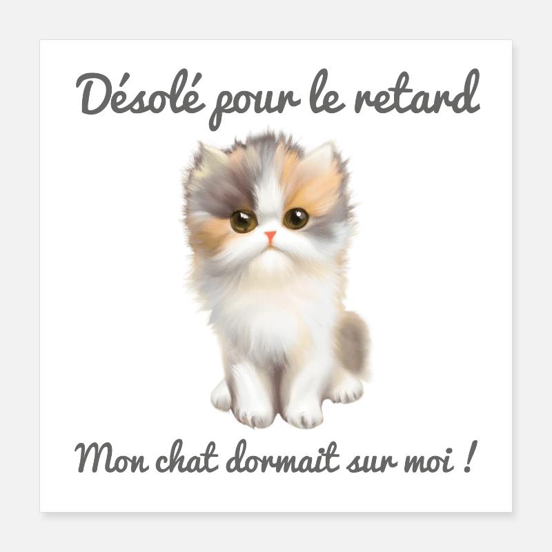Mon chat dormait sur moi  Poster 40 x 40 cm