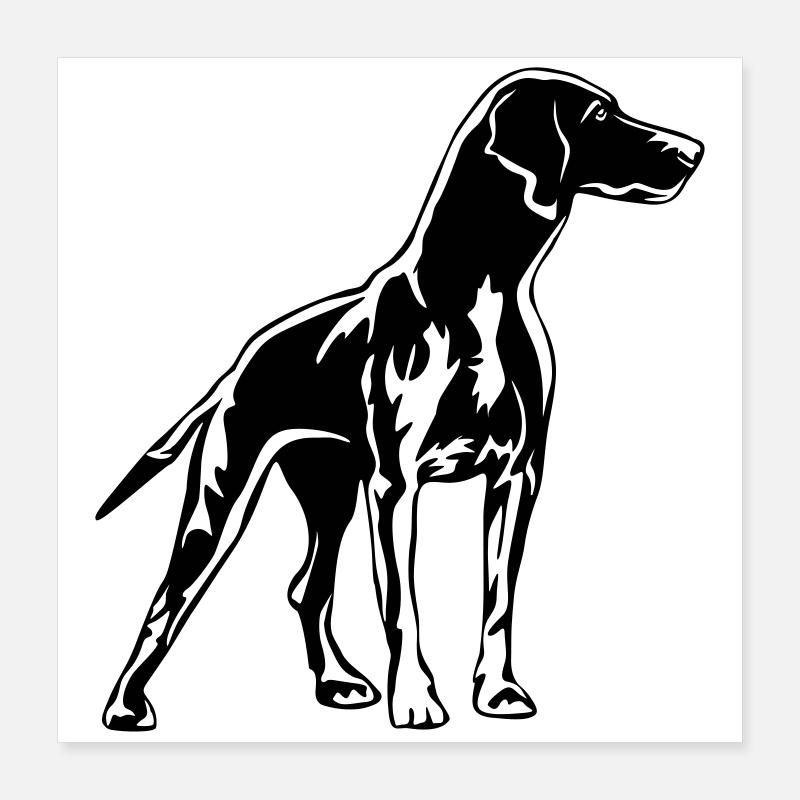 Magyar Vizsla Poster 40x40 cm