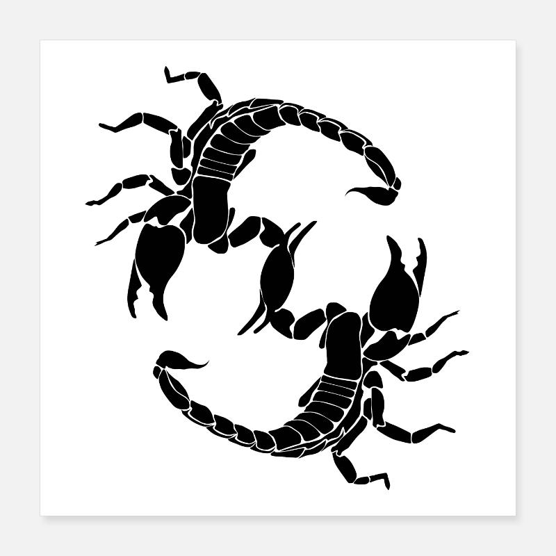 Schwarzer Skorpion - Buchstabe S Poster 40x40 cm