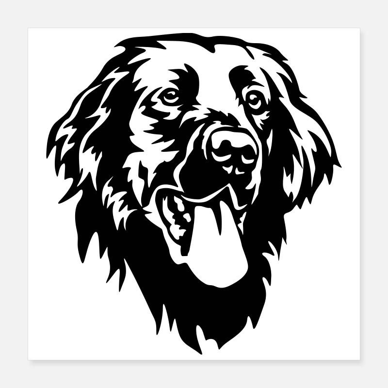 Flat-coated Retriever Head Poster 16" x 16" (40x40 cm)