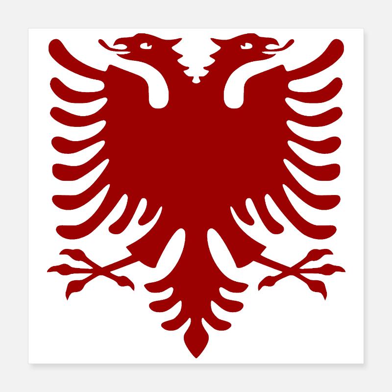 Aigle albanais Poster 40 x 40 cm