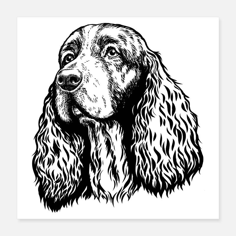 Springer Spaniel Portrait noir Poster 40 x 40 cm