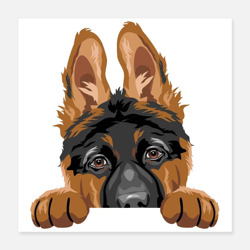 Schüchterner spähender Deutscher Schäferhundwelpe Poster 40x40 cm