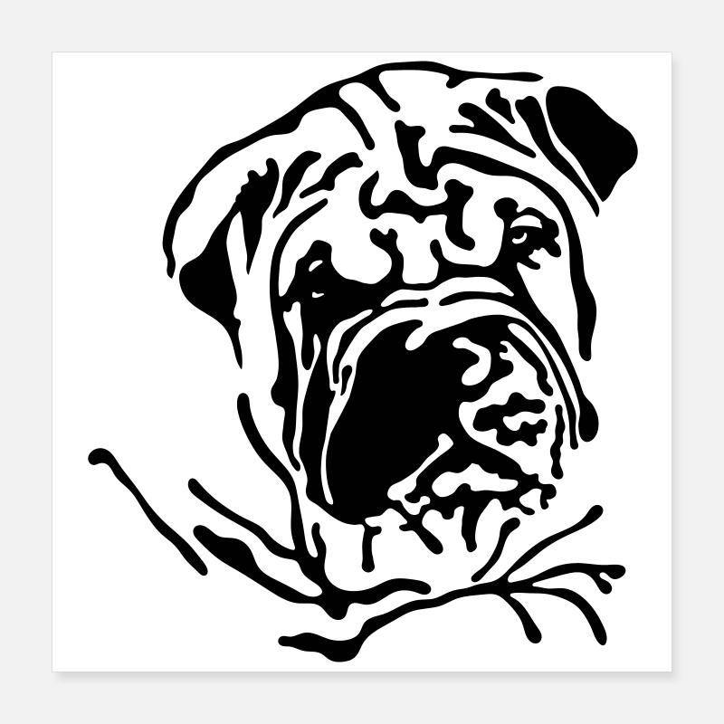 Shar-Pei Poster 40x40 cm