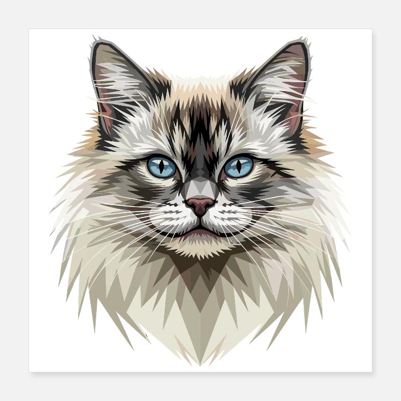 Chat Birman Chat Birman Sacré Chat Birman Mignons Chats Birman Poster 40 x 40 cm