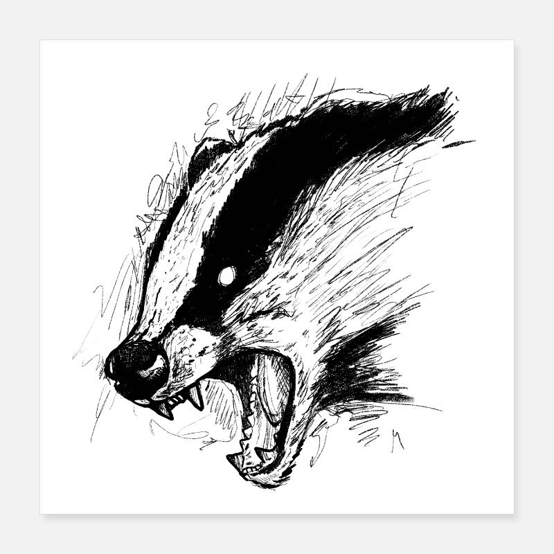 Blaireau Poster 40 x 40 cm