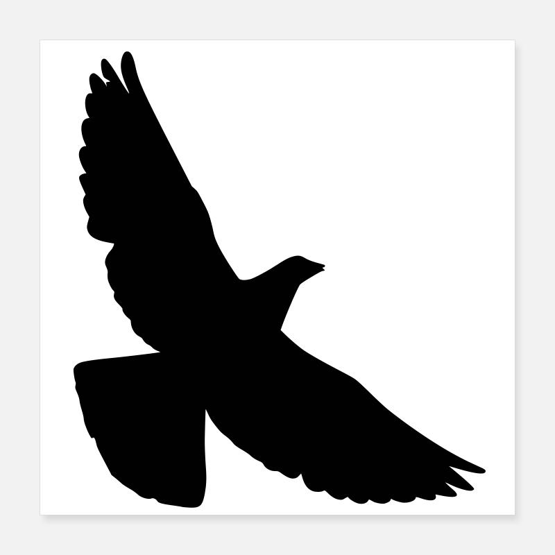 pigeon Poster 40 x 40 cm