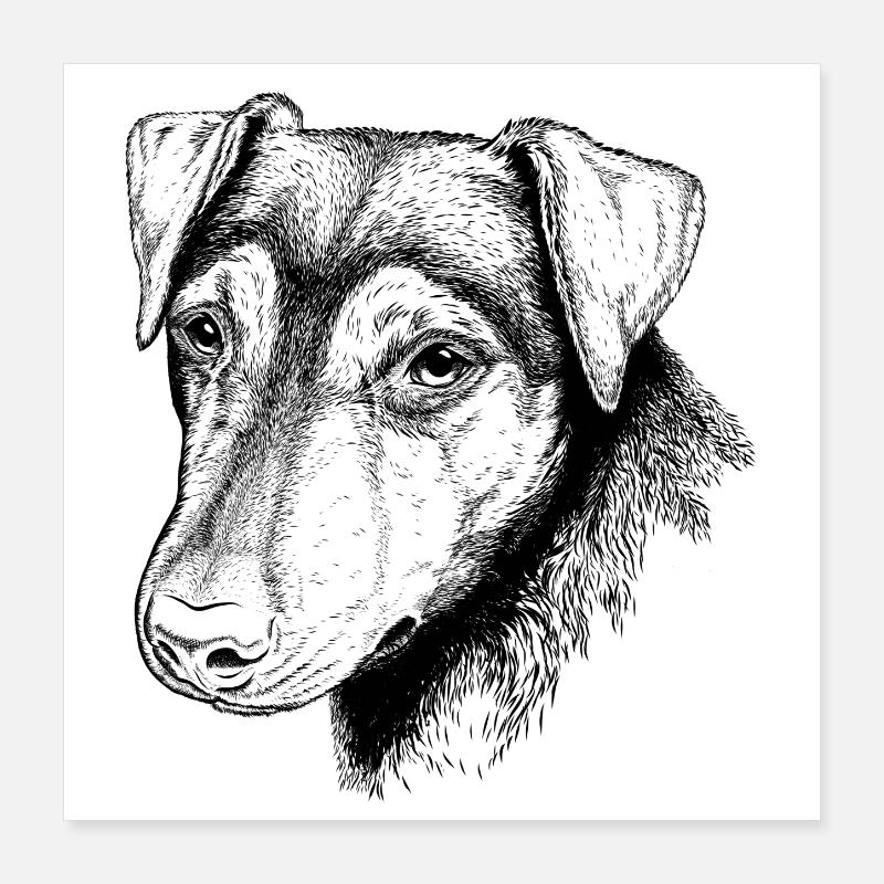 Portrait de terrier Poster 40 x 40 cm