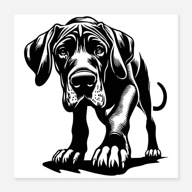 Great Dane Poster 16" x 16" (40x40 cm)