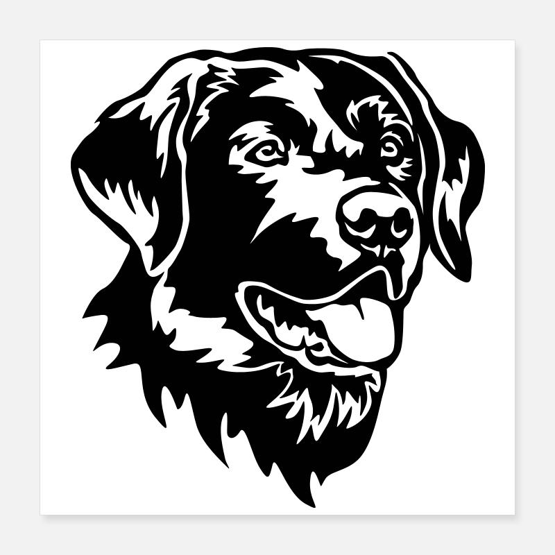 Labrador Head Poster 16" x 16" (40x40 cm)