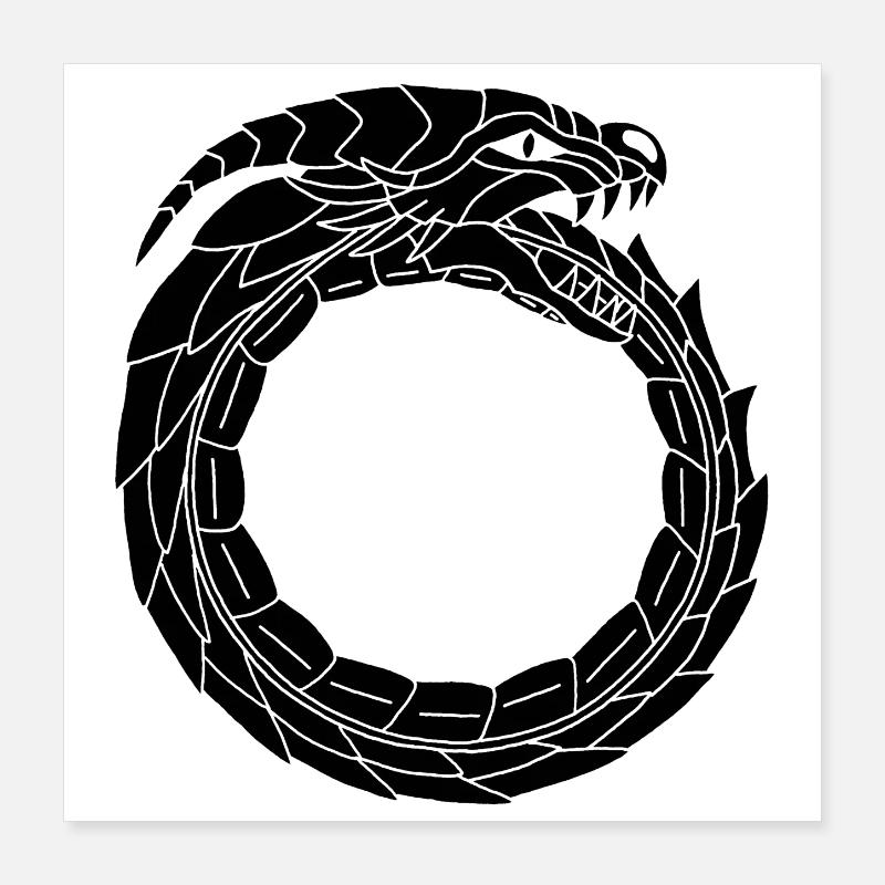 Devouring Black Dragon Poster 16" x 16" (40x40 cm)