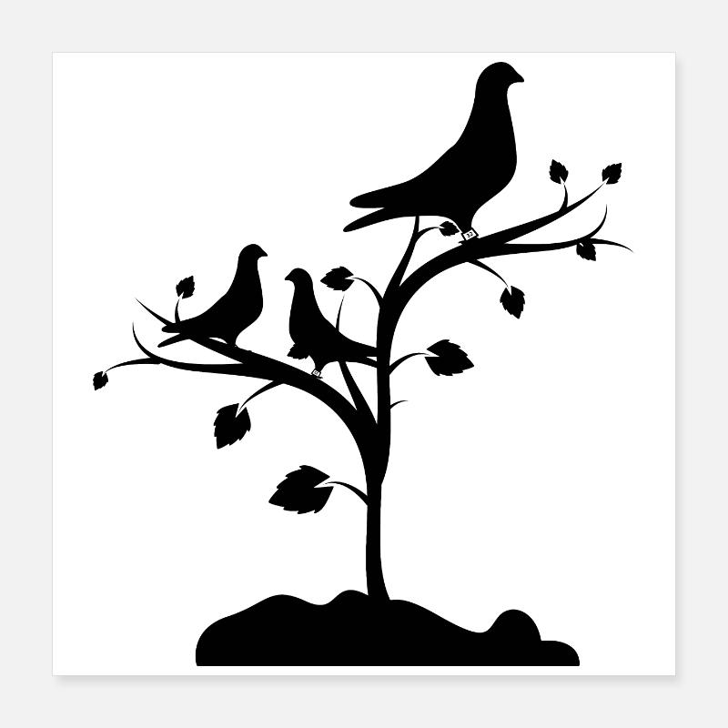 Tauben Poster 40x40 cm