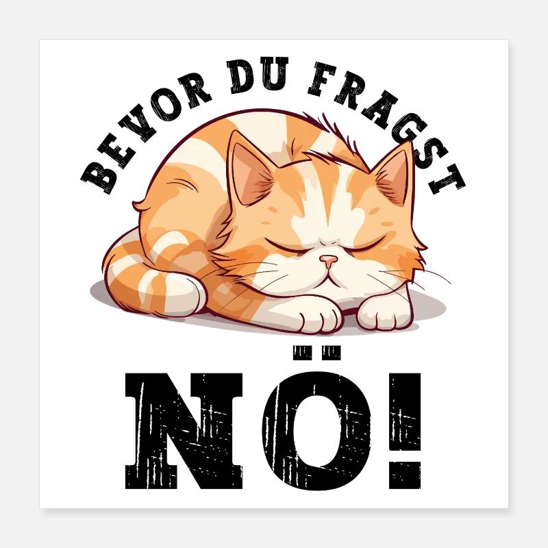 Before You Ask Nope No Cat Funny Saying Humor Poster 16" x 16" (40x40 cm)