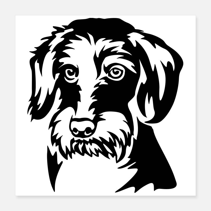 Dachshund Head Poster 16" x 16" (40x40 cm)
