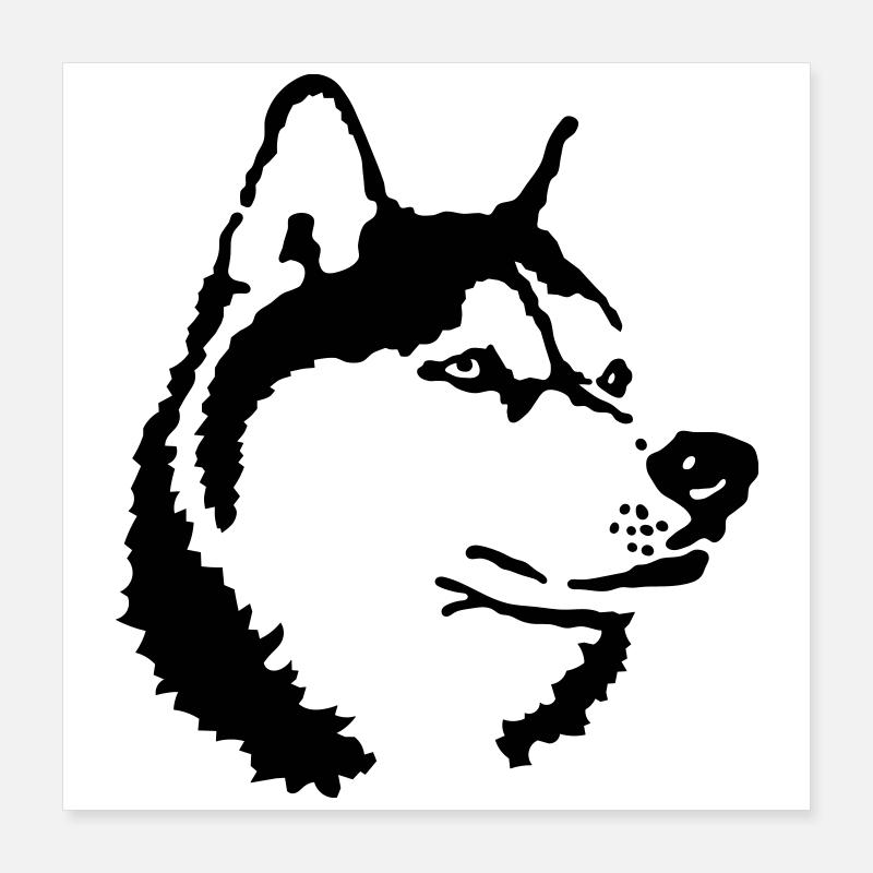 Husky Poster 40 x 40 cm