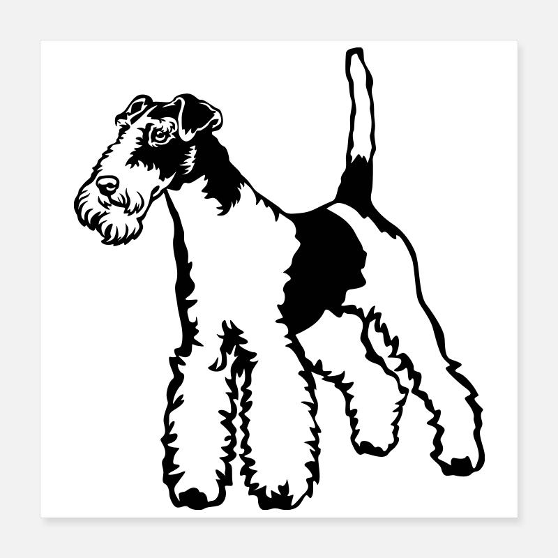 Fox-terrier Poster 40 x 40 cm