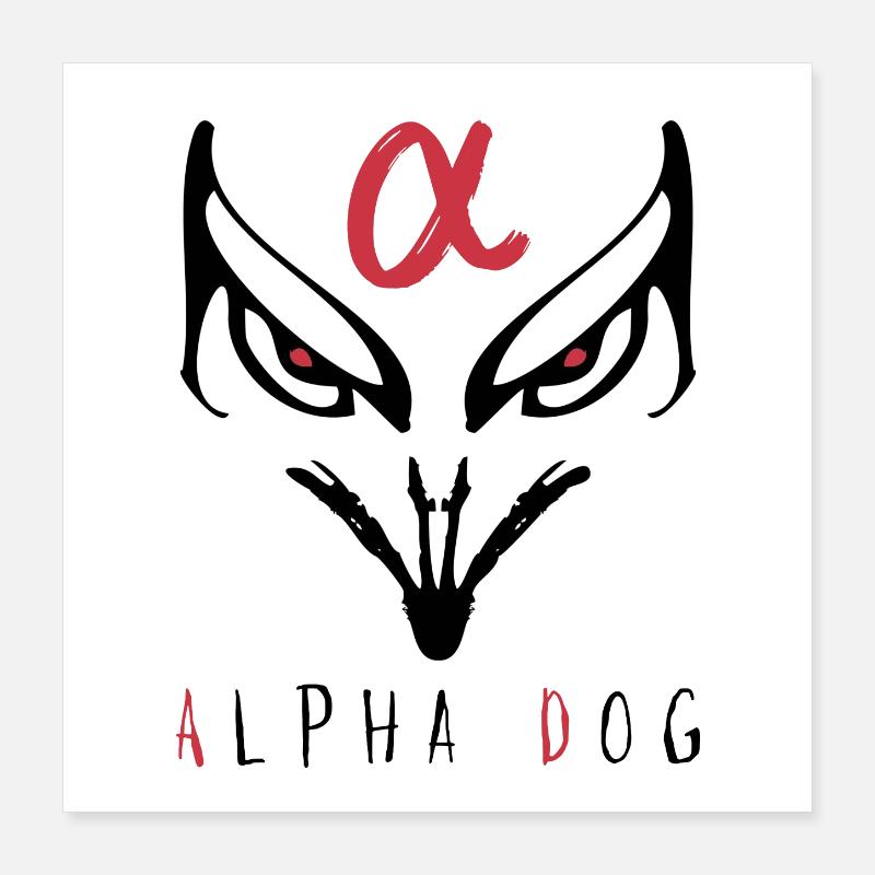Alpha Night Silhouette Poster 40x40 cm