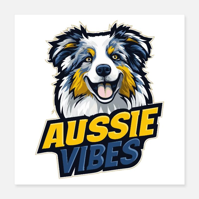 Australian Shepherd – AUSSIE VIBES Poster 40x40 cm