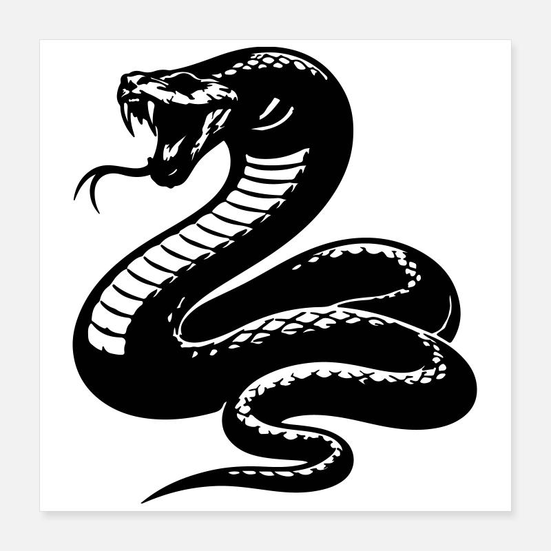 Schlange Python Silhouette Poster 40x40 cm