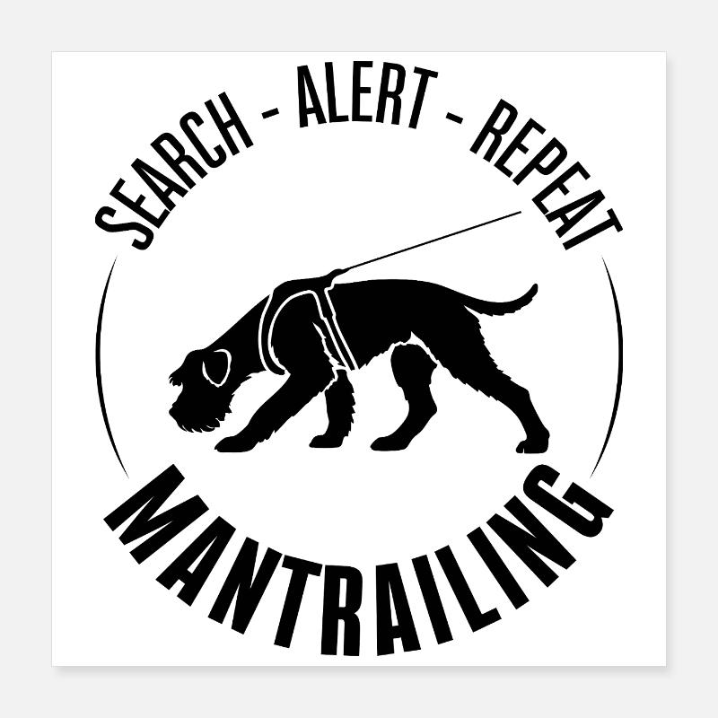 Schnauzer géant Chien de chasse de sport Chien de sport Poster 40 x 40 cm