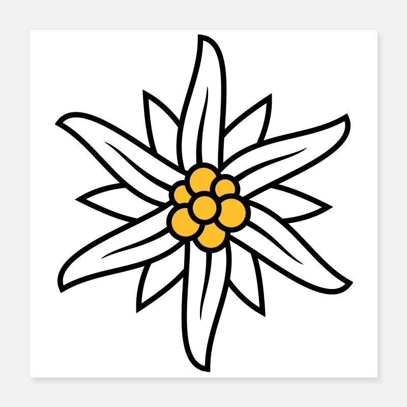 Logo Edelweiss Bergblume Poster 40 x 40 cm