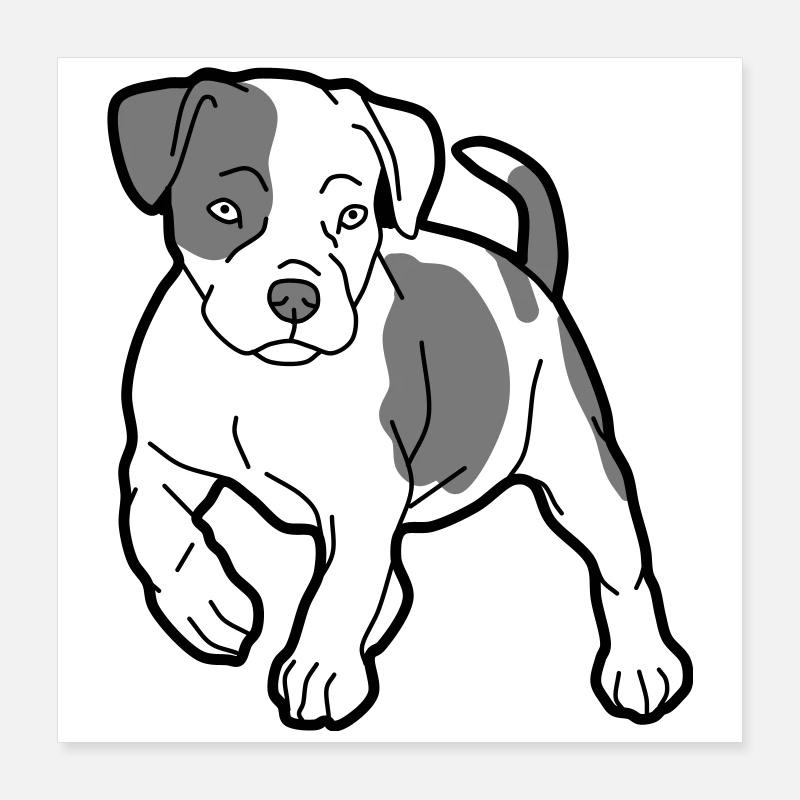 chien - Poster 40 x 40 cm - blanc