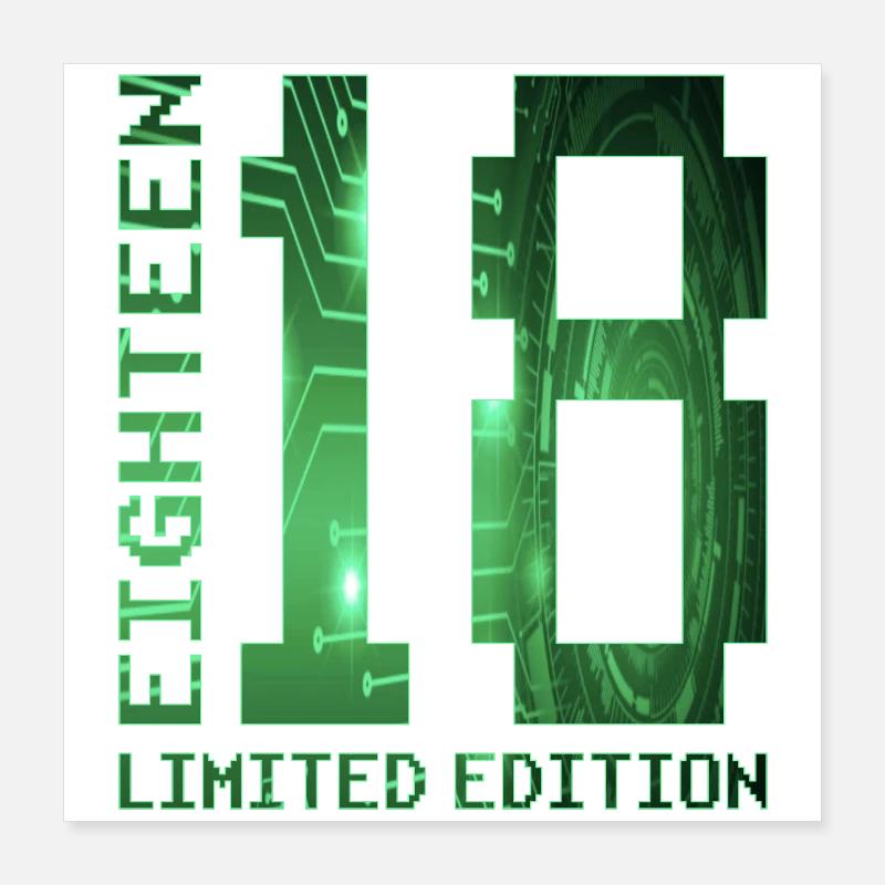 18e anniversaire Gamer Édition Limitée Poster 40 x 40 cm
