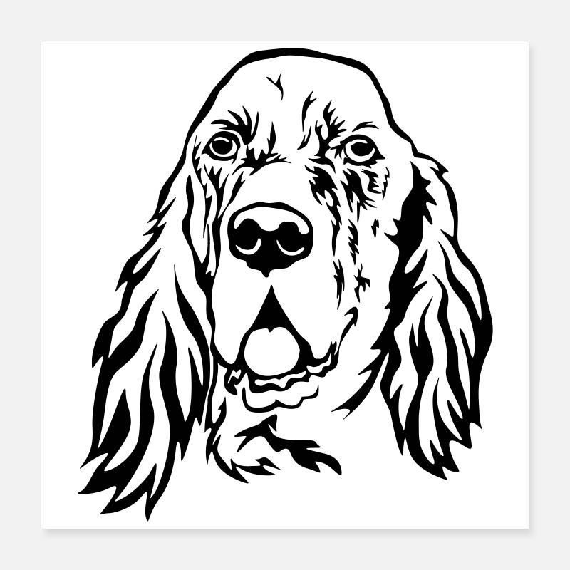 Tête de setter anglais Poster 40 x 40 cm