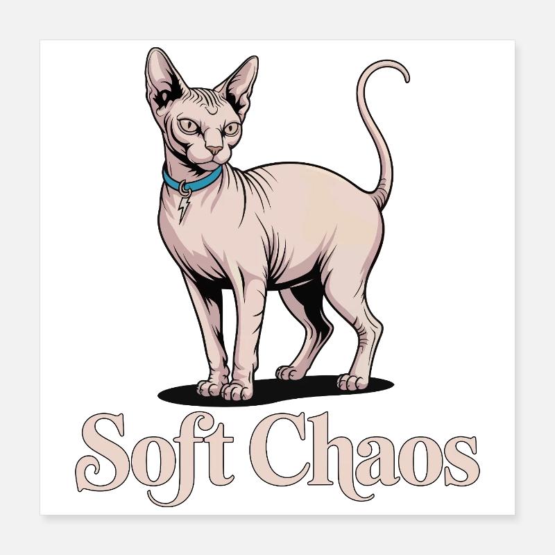 Chat Sphynx Soft Chaos Poster 40 x 40 cm