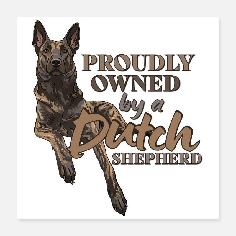 Berger hollandais - Dutchie Poster 40 x 40 cm