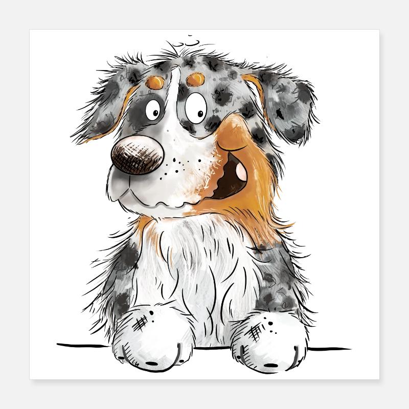 Funny Australian Shepherd Blue Merle Poster 40x40 cm