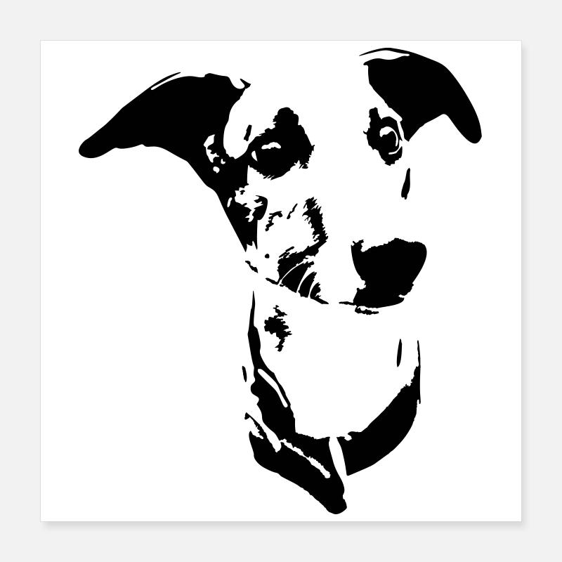 Tête de whippet Poster 40 x 40 cm